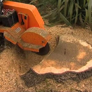 STUMP GRINDING