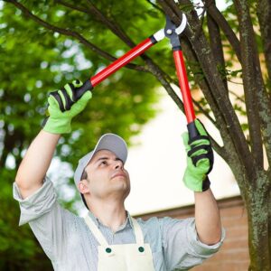 TREE PRUNING